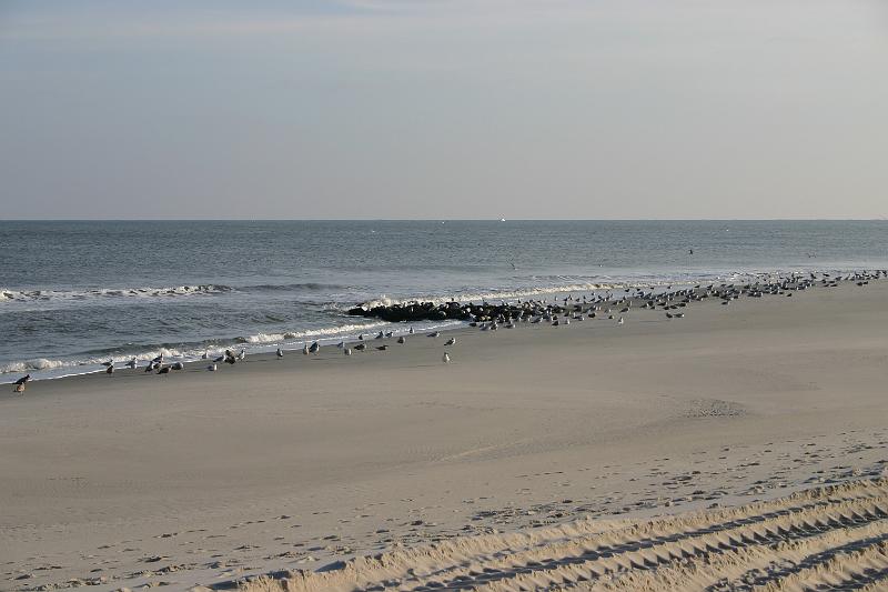 Day20 83rdJettypm2.JPG